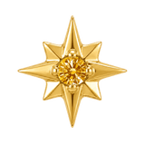 8 Point Burst - 14K Gold Stone Threadless/Threaded End - piercing-zone.com