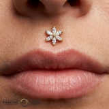 Asphodel - 18K Gold Gem Threadless/Threaded End