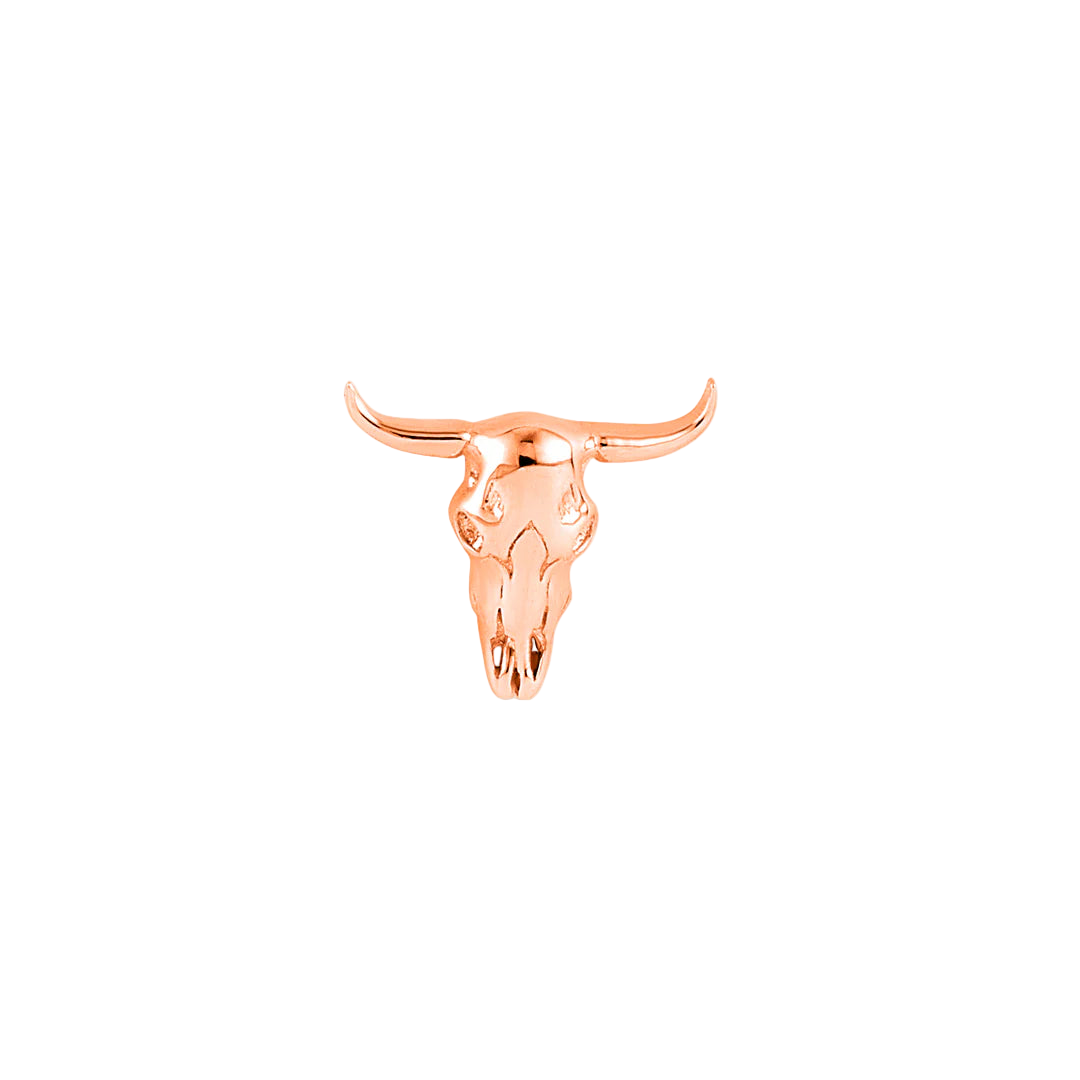 Side Profile of Buckaroo Skull 14K Gold End – Horn Detailing