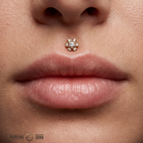 Daisy 6 - Stones – 14K Gold Threadless/Threaded End