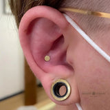 Disk – 14K Gold Minimalist Threadless End - piercing - zone.com