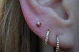 Pearl Prong – 14K Gold Threadless End - piercing - zone.com