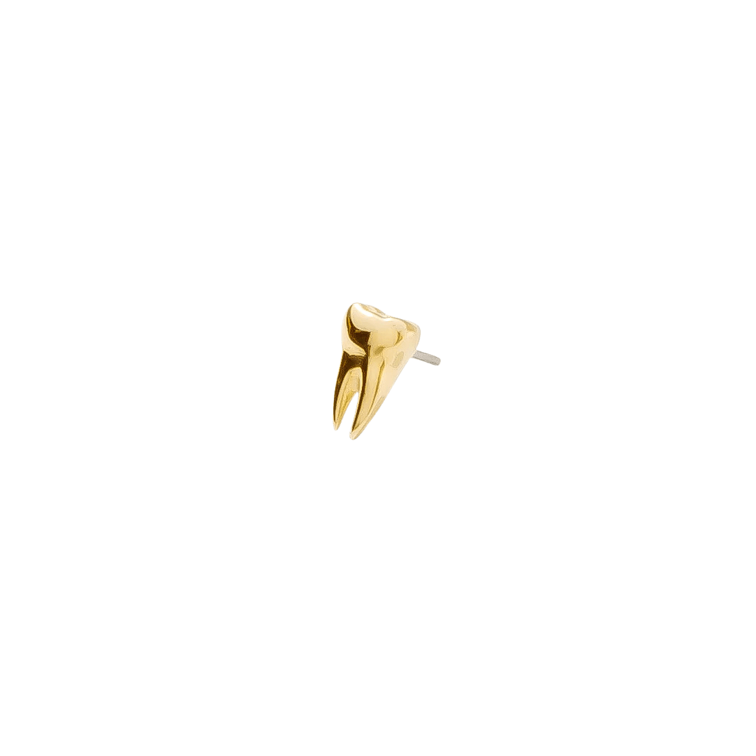 Golden wisdom tooth earring stud with realistic details