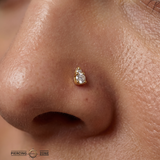 Graduated Prong Duo – 14K Gold Threadless/Threaded End
