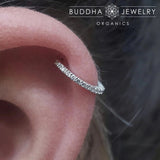 RADIANT 16G - CZ - SOLID 14KT GOLD CLICKER piercing-zone.com