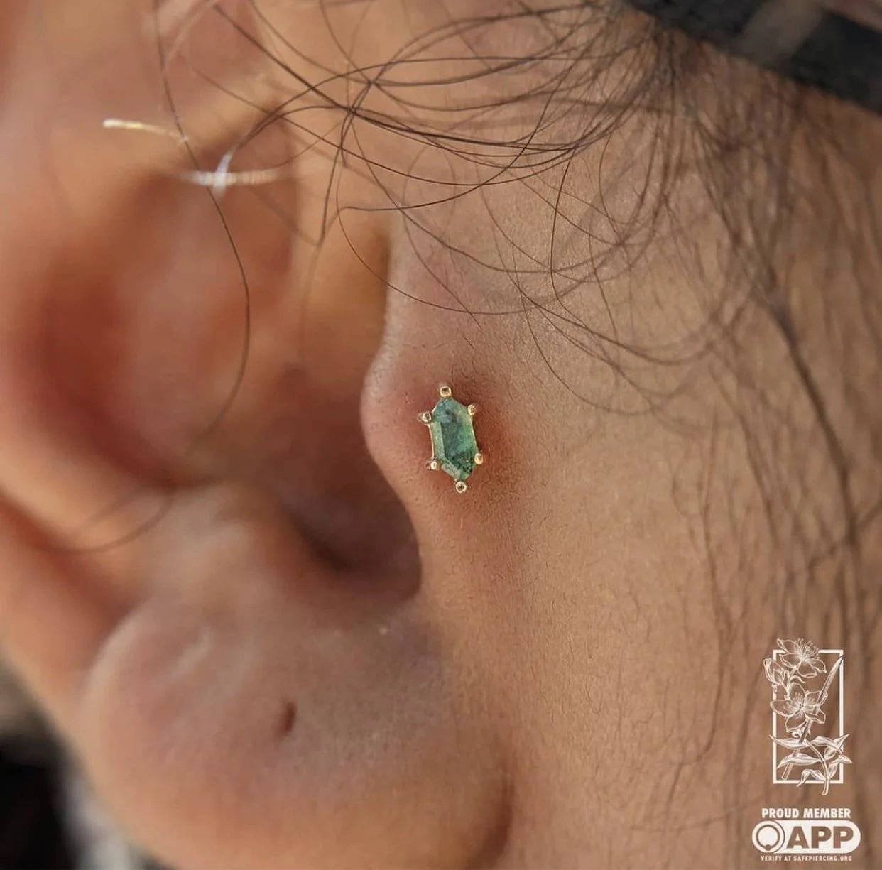 OH HELL YES! - HEX CUT MOSS AGATE - THREADLESS END piercing-zone.com