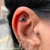 BAT WITH BLACK CZ 14K GOLD - THREADLESS END piercing-zone.com
