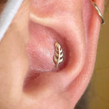 Model Wearing Leaf End in Helix Piercing – Nature-Inspired Styling
