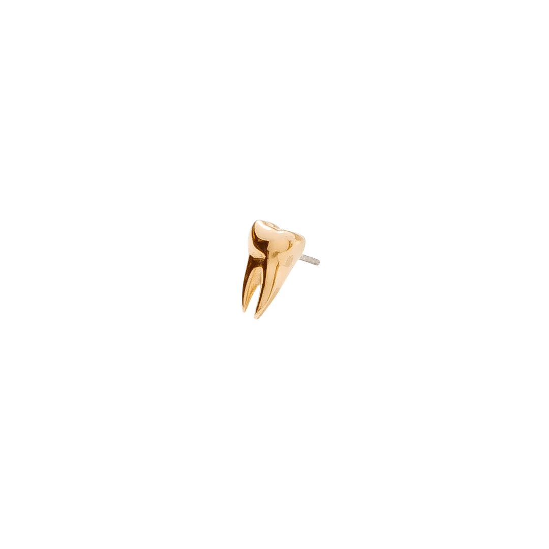 Miniature wisdom tooth design in polished 14K gold