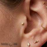 Northstar II - 18K Gold Threadless/Threaded End