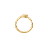 Ouroboros ring laid flat to show circular mythological design