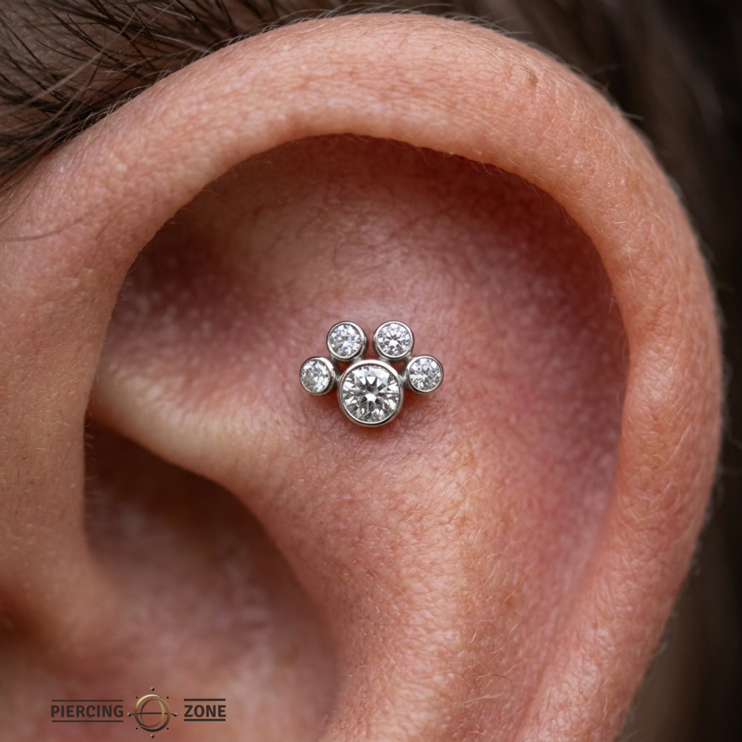 Paw Bezel - Bezels – 14K Gold Threadless/Threaded End