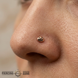 Pumpkin – 14K Gold Threadless/Threaded End