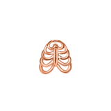 Side Profile of Rib Cage 14K Gold End – Sculptural Detailing