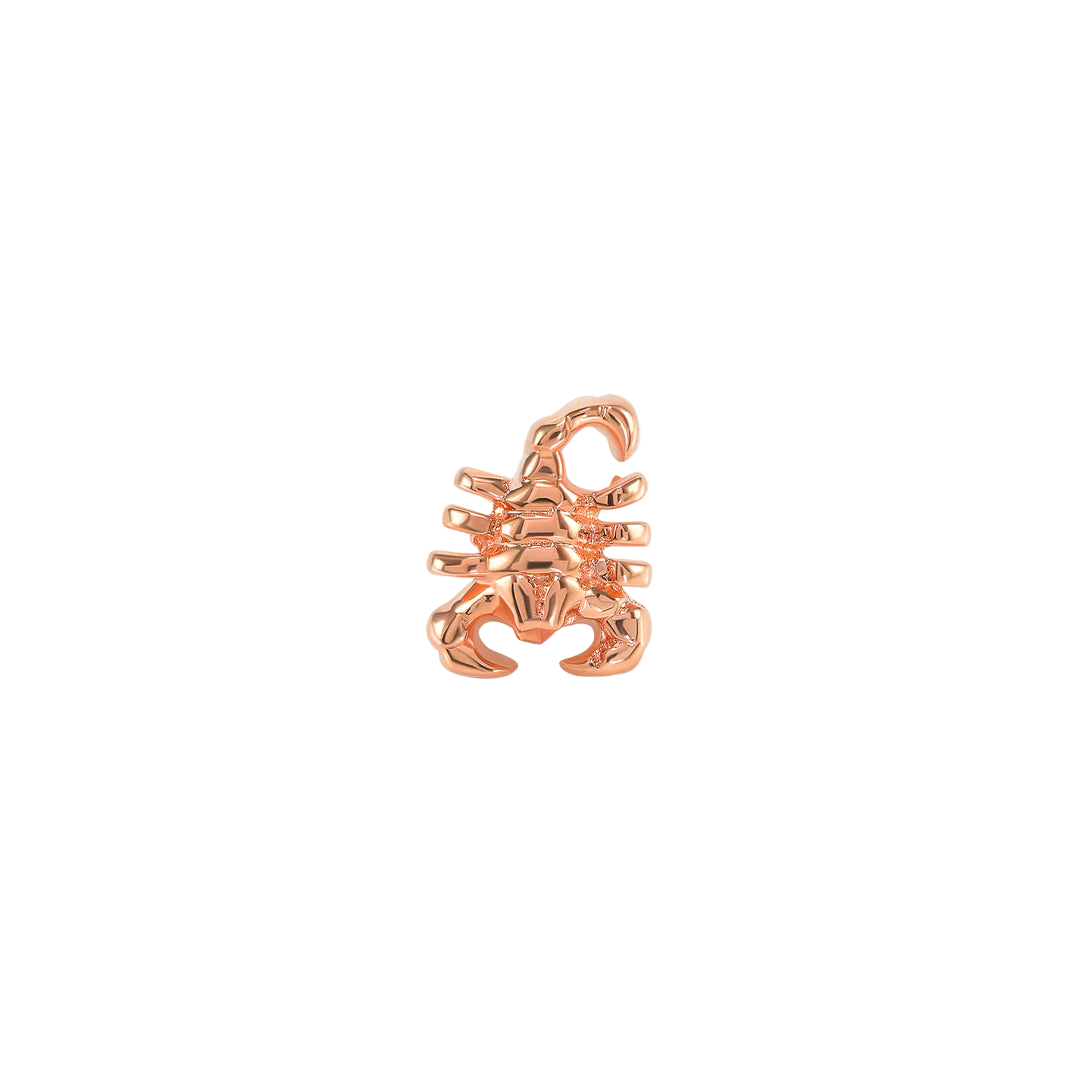 Close-up of Scorpion End in Solid Gold