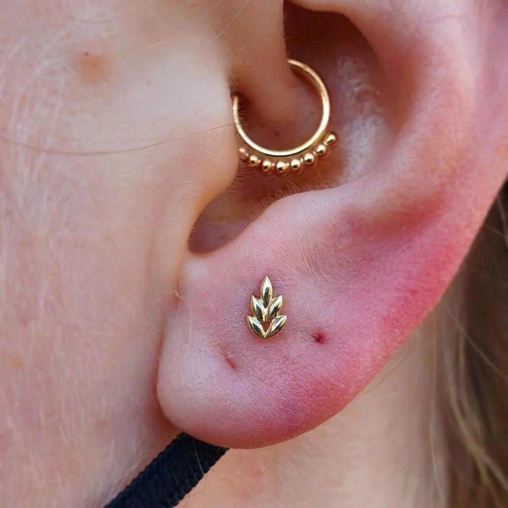 Fernanda Threadless -14K Gold