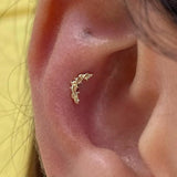 THORN ARC GOLD 14K  - THREADLESS END piercing-zone.com