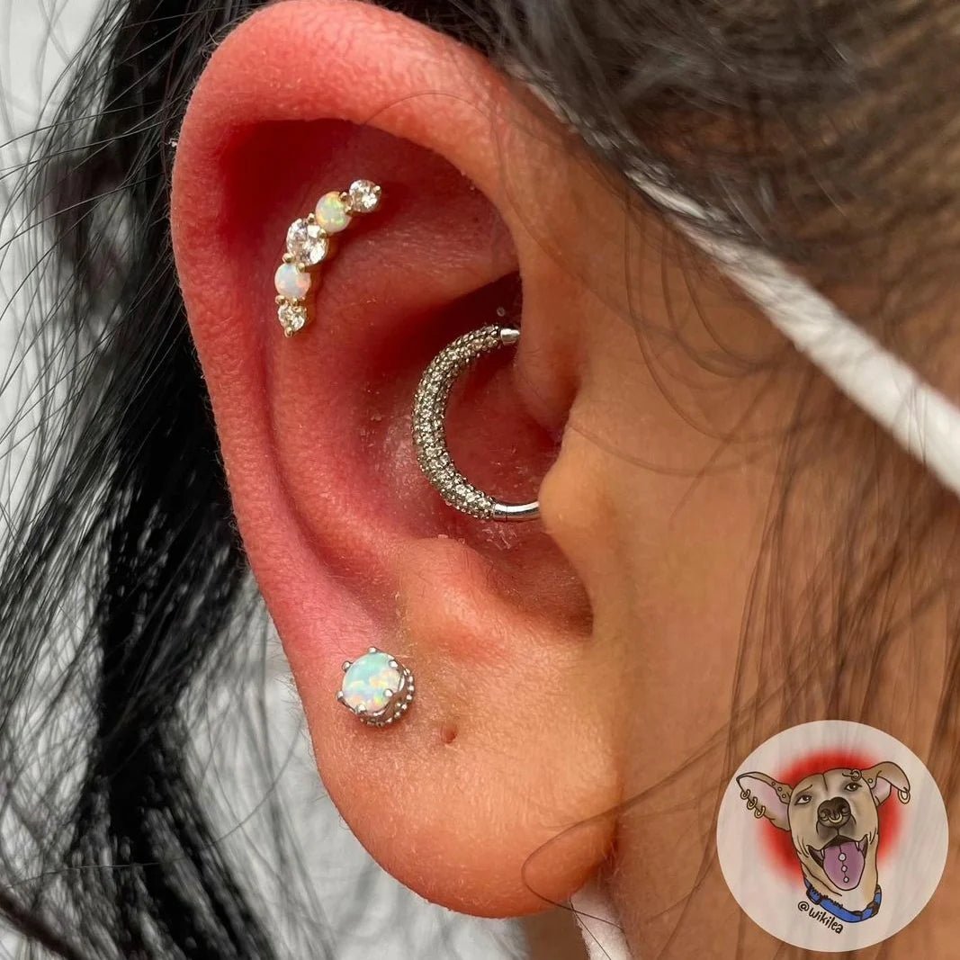 DANI-14K GOLD piercing-zone.com
