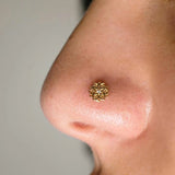 Chloe - 14K Gold