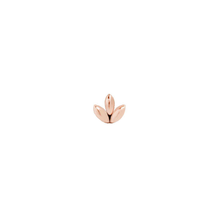 Sprout - Threadless End
