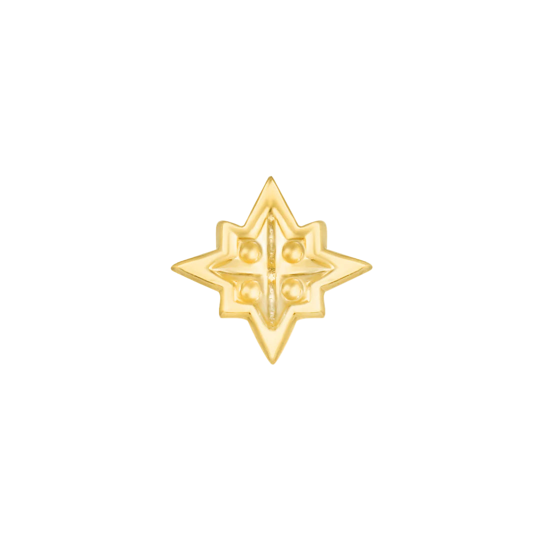 Star Trim 14K Gold Threadless End Styled in Tragus Piercing