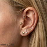 Starfish – 14K Gold Threadless/Threaded End