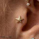 Starfish – 14K Gold Threadless/Threaded End