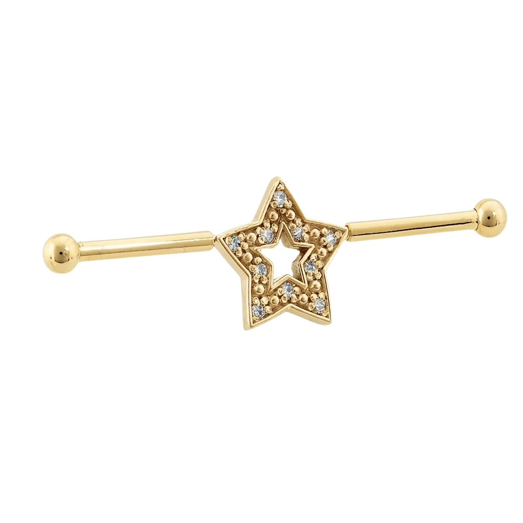 Stellar Frame - 14K Gold Star Straight Barbell - piercing - zone.com