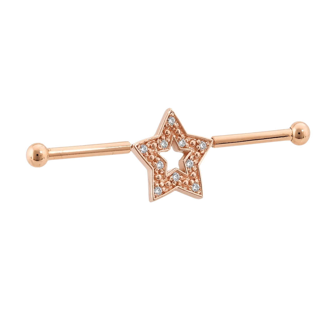Stellar Frame - 14K Gold Star Straight Barbell - piercing - zone.com
