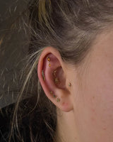 Verity-14K Gold 