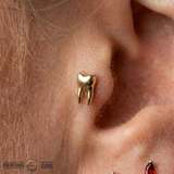 Wisdom Pin - 14K Gold Tooth Threadless End