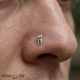 Wisdom Pin - 14K Gold Tooth Threadless End