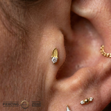 Xiphos - 18K Gold Gem Threadless/Threaded End