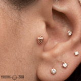 Acorn – 14K Gold Threadless/Threaded End - piercing - zone.com