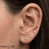 Acorn – 14K Gold Threadless/Threaded End - piercing - zone.com