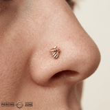 Acorn – 14K Gold Threadless/Threaded End - piercing - zone.com