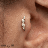 Aliferous – 14K Gold Threadless/Threaded End - piercing - zone.com
