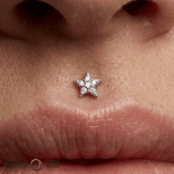 All Night Long – CZ Star Cluster – 14K Gold Threadless End - piercing - zone.com