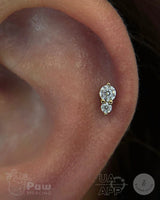 Aman – CZ Duo – 14K Gold Threadless End - piercing - zone.com