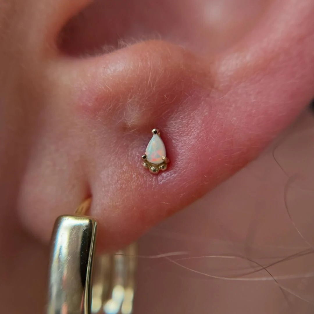Amani – Opal Pear Beaded – 14K Gold Threadless End - piercing - zone.com