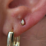 Amani – Opal Pear Beaded – 14K Gold Threadless End - piercing - zone.com