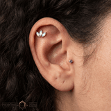 Amethyst – 14K Gold Prong Threadless End - piercing - zone.com