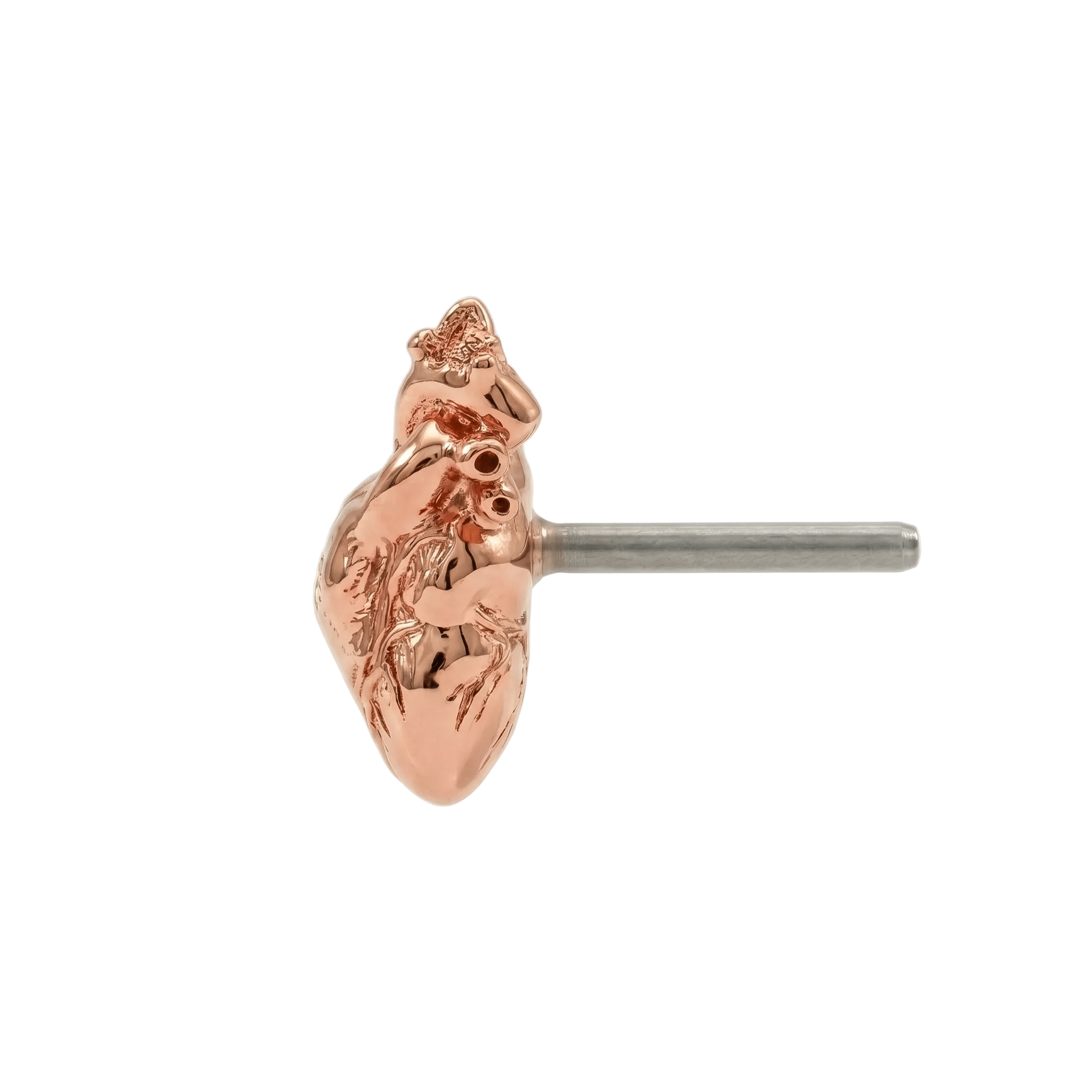 Anatomical Heart – 14K Gold Threadless/Threaded End - piercing - zone.com