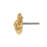 Anatomical Heart – 14K Gold Threadless/Threaded End - piercing - zone.com