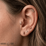 Anatomical Heart – 14K Gold Threadless/Threaded End - piercing - zone.com