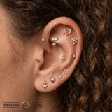 Anchor – 14K Gold Threadless/Threaded End - piercing - zone.com