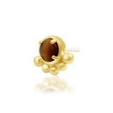 Anele – Tiger Eye Orbit – 14K Gold Threadless End - piercing - zone.com