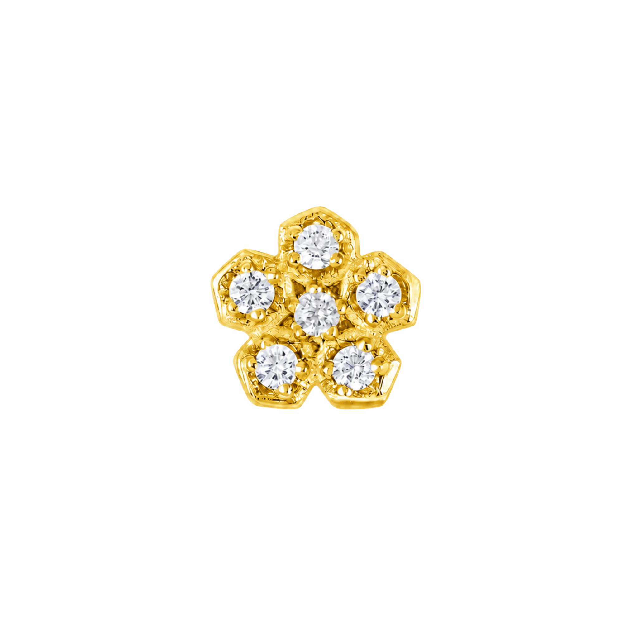 Anemone – 14K Gold Threadless/Threaded End - piercing-zone.com