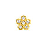 Anemone – 14K Gold Threadless/Threaded End - piercing-zone.com