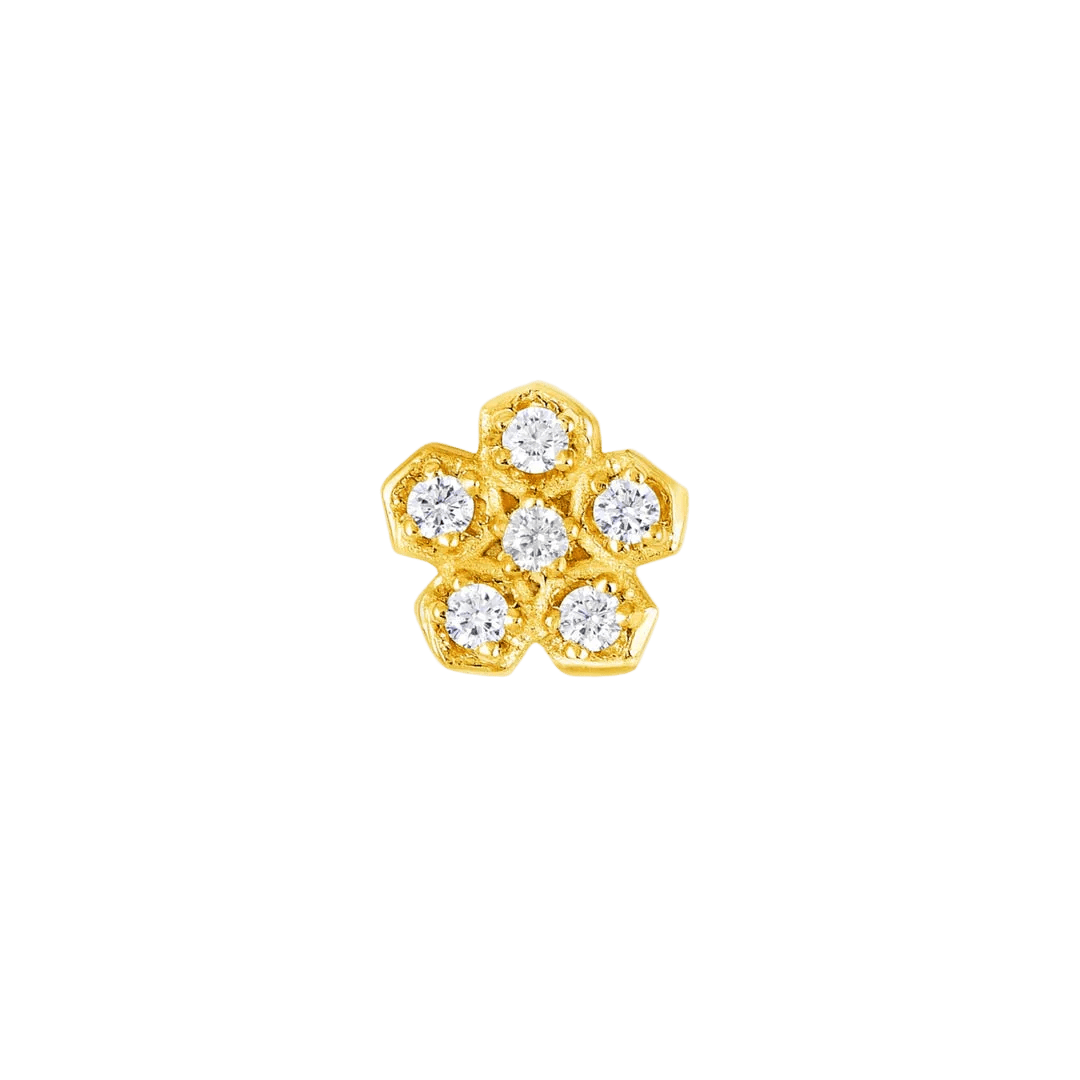 Anemone – 14K Gold Threadless/Threaded End - piercing - zone.com